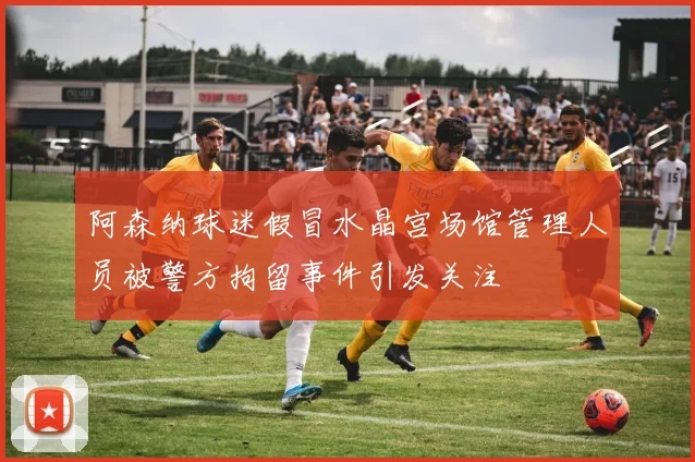 阿森纳球迷假冒水晶宫场馆管理人员被警方拘留事件引发关注